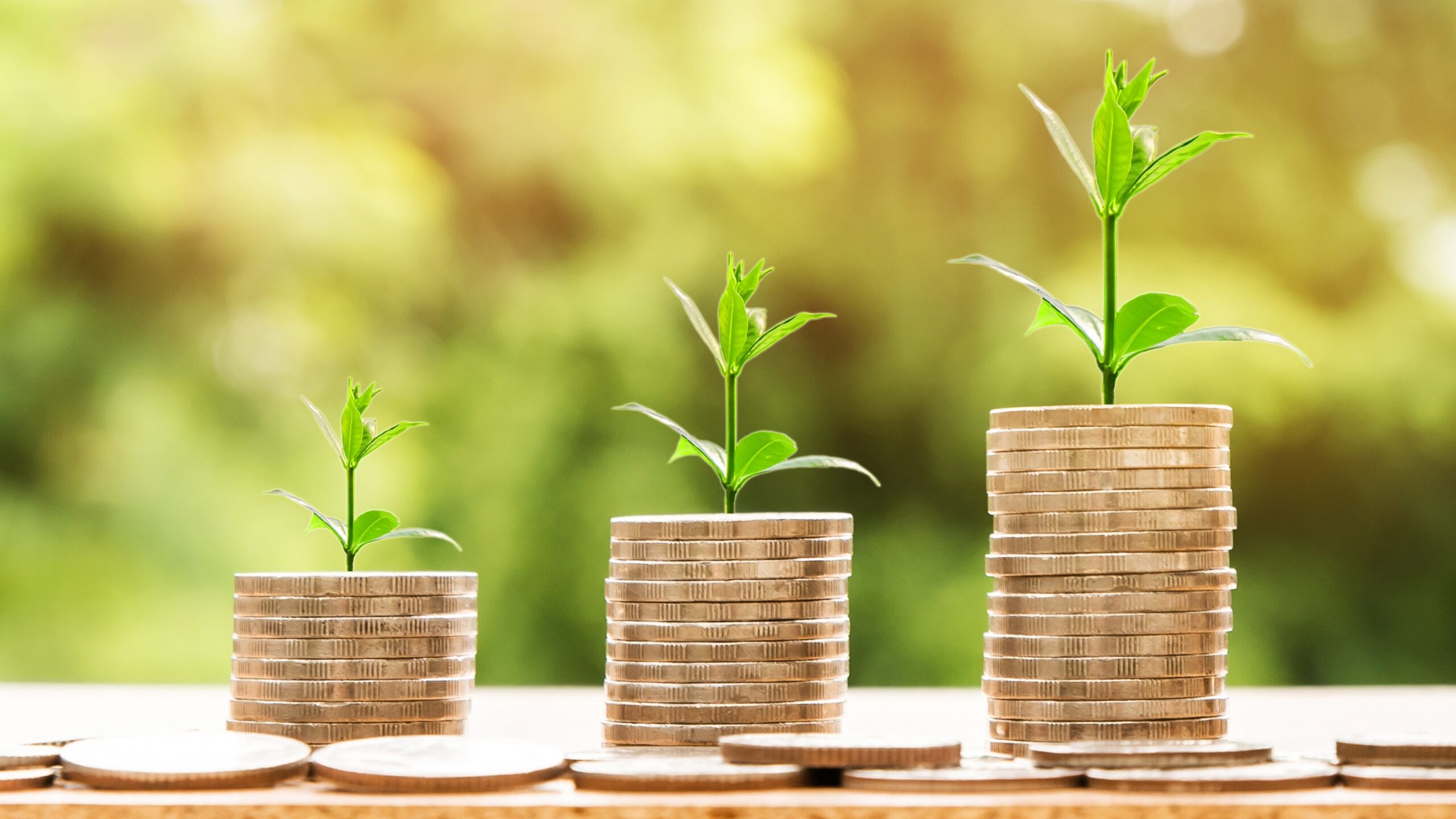 Interest for Entrepreneurs