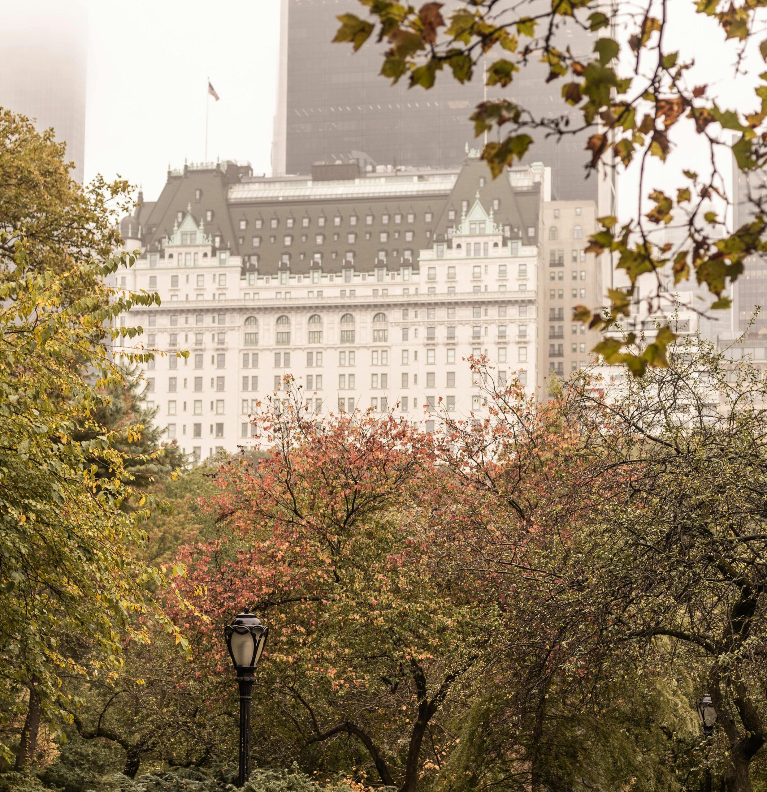 Best Hotels in Manhattan [For Entrepreneurs]