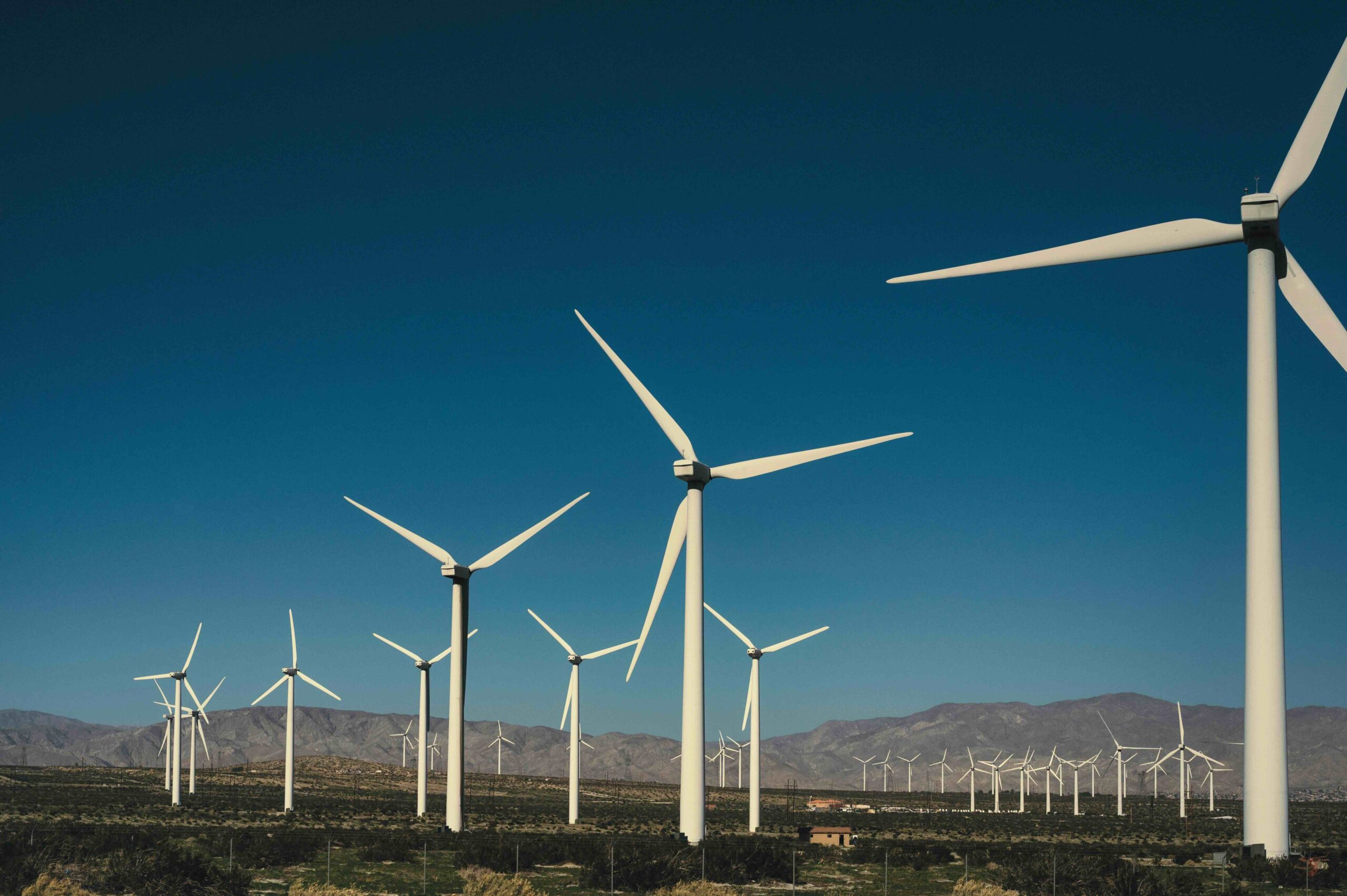 start an llc in Palm Springs
