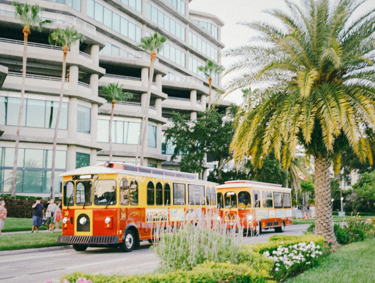 Best credit unions and local banks in Tampa